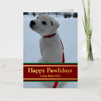 Happy Pawlidays Folie Feestdagenkaart