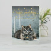 Happy Pawlidays Fun Stars Cat Photo Folie Feestdagenkaart (Staand Voorkant)