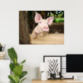 Happy Pig Poster (Thuiskantoor)
