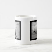 Happy pitbull mok (Center)