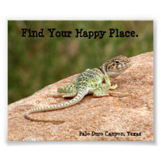 Happy Place Lizard Print Foto Afdruk