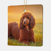 Happy Poodle Keramisch Ornament (Links)
