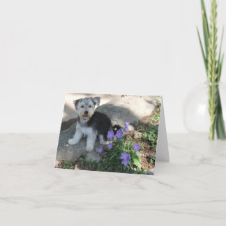 Happy Puppy Blank Note Kaart