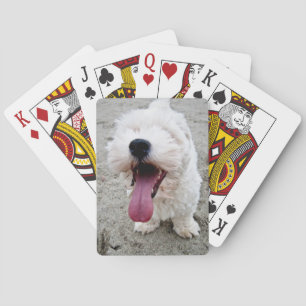 Happy Puppy white dog, malteese, maltipoo. Speelkaarten