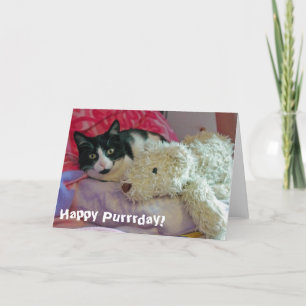 Happy Purrrday Cat Kaart