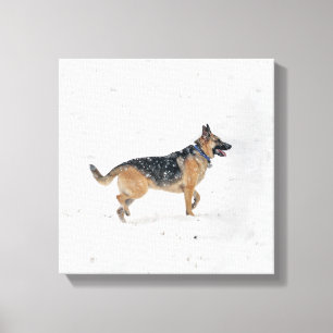 Happy redcued German Shepherd Dog in Snow Canvas Afdruk