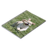 Happy run Shih Tzu Notitieboek (Linkerzijde)