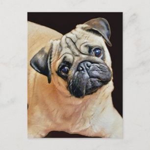 Happy Schattige Pug Briefkaart