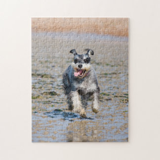 Happy Schnauzer aan boord van strandpuzzel Legpuzzel