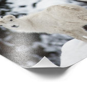 Happy Sheep-familie Foto Afdruk (Hoek)