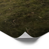 Happy Sheep Poster (Hoek)