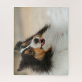 Happy Shelty Legpuzzel (Verticaal)