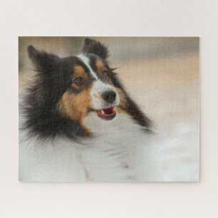 Happy Shelty Legpuzzel