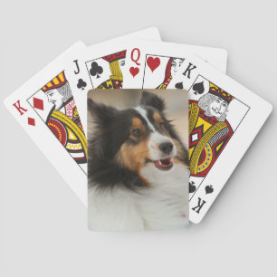 Happy Shelty  Pokerkaarten