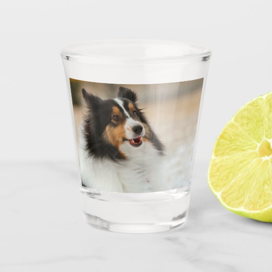 Happy Shelty Shot Glas (Voorkant)