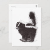 Happy Skunk Briefkaart (Voorkant / Achterkant)