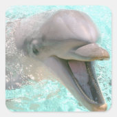 Happy Smiling Dolphin Vierkante Sticker (Voorkant)