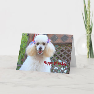 Happy Speelgoed Poedel Dog wenskaart Kaart