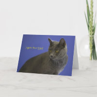Happy Spint Day Russian Blue beroemd gemaakt door