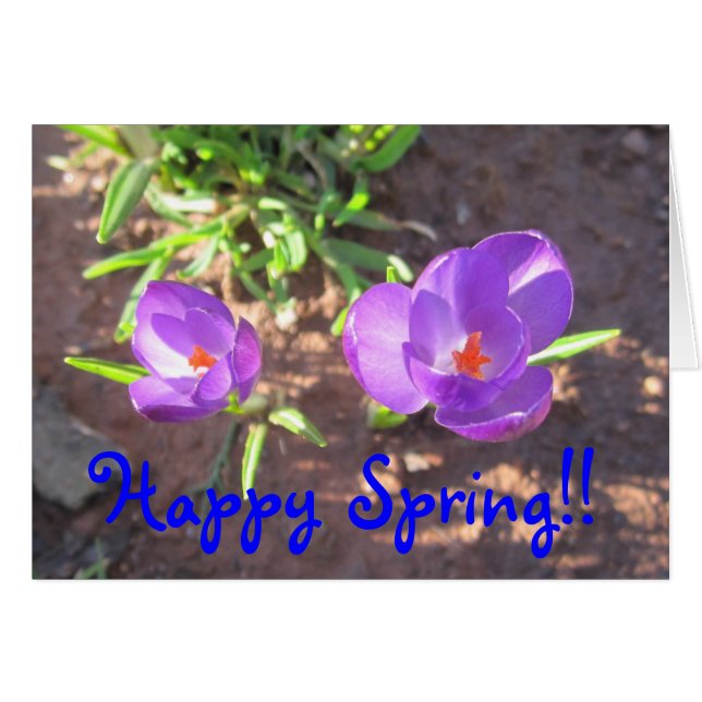 Happy Spring (Voorkant Horizontaal)