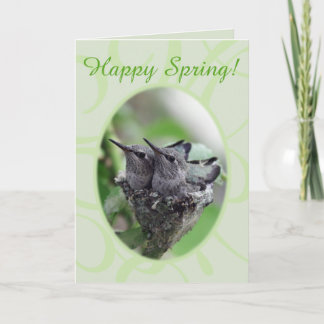 Happy Spring | Hummingvogels op de Nest-foto | Feestdagen Kaart