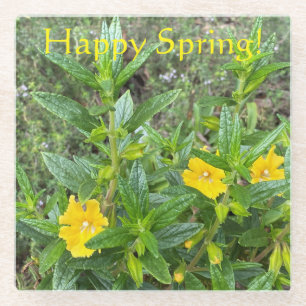 Happy Spring Monkeybloemen! Glazen Onderzetter