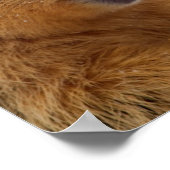 Happy Squirrel Poster (Hoek)