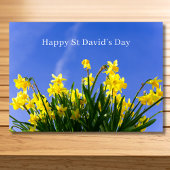 Happy St David’s Day Daffodils Welsh Greeting Kaart