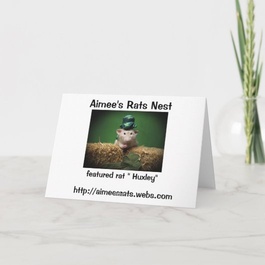 Happy St. Patrick Day card Kaart (Achterkant)