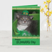 Happy St.Patrick Day kaart met kat (Gele Bloem)