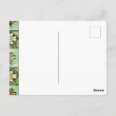 Happy St. Patricks Day Briefkaart (Achterkant)