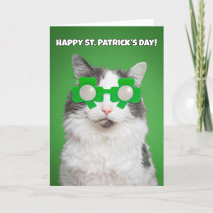 Happy St. Patrick's Day Cat in Shamrock Glasses Feestdagen Kaart