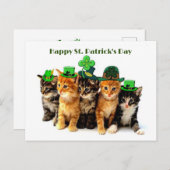 Happy St. Patrick's day cats briefkaart (Voorkant / Achterkant)