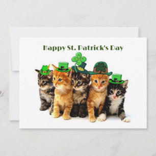 Happy St. Patrick's day cats uitnodiging