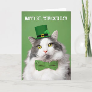Happy St Patricks Day Cute Kat in Green Feestdagen Kaart