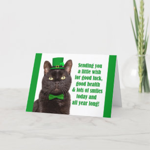 Happy St Patricks Day for Iedereen Cute Black Cat Feestdagen Kaart