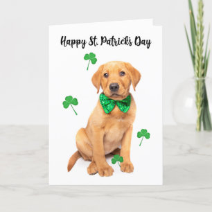 Happy St Patrick's Day voor iedereen Schattige Red Feestdagen Kaart