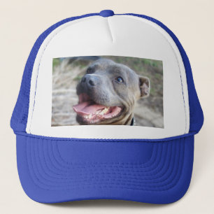 Happy Staffordshire Bull Terrier, Pet