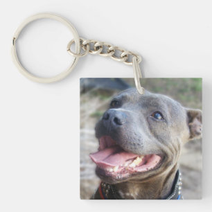 Happy Staffordshire Bull Terrier Sleutelhanger