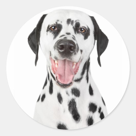 Happy Stickers Chien Chien Chien de Salutation Dal (Devant)