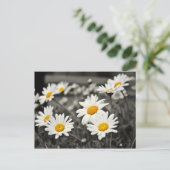 Happy Summer Daisies Briefkaart (Staand voorkant)