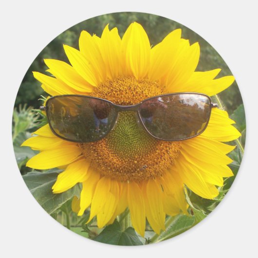 Happy Sunflower met zonnebril sticker (Voorkant)