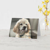 HAPPY SWEET **16** DE LA CARTE SPANIEL DE COCKER (Fleur jaune)