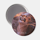 Happy Tau, glimlachend leeuwenkeub Magneet (Voorkant / Achterkant)