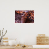 Happy Tau, glimlachend leeuwenkeub Poster (Keuken)