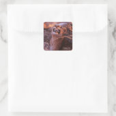 Happy Tau, glimlachend leeuwenkeub Vierkante Sticker (Tas)