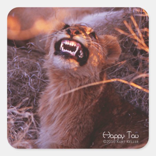 Happy Tau, glimlachend leeuwenkeub Vierkante Sticker (Voorkant)