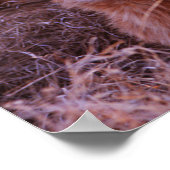 Happy Tau Poster (Hoek)