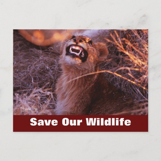 Happy Tau Sauvez Notre Carte Postale Faune (Devant)