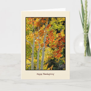 Happy Thanksgiving Autumn Aspens, Herfstkleuren Ka Feestdagen Kaart